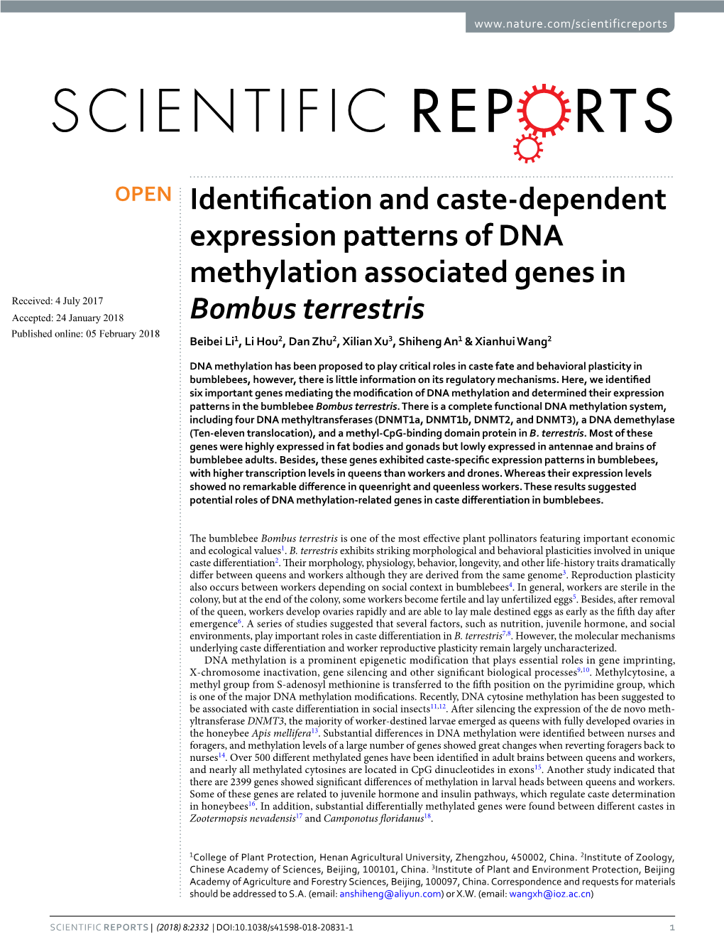 Identification and Caste-Dependent Expression Patterns of DNA