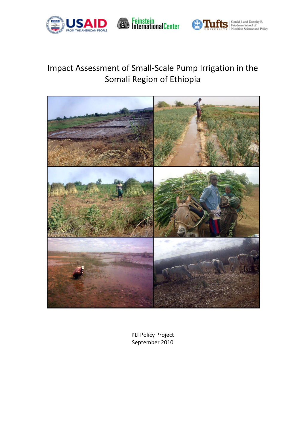 Impact Assessment of Small-Scale Pump Irrigation in the Somali