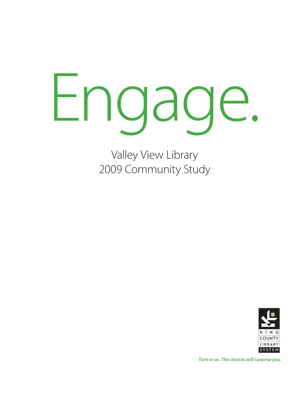 Valley View Library 2009 Community Study