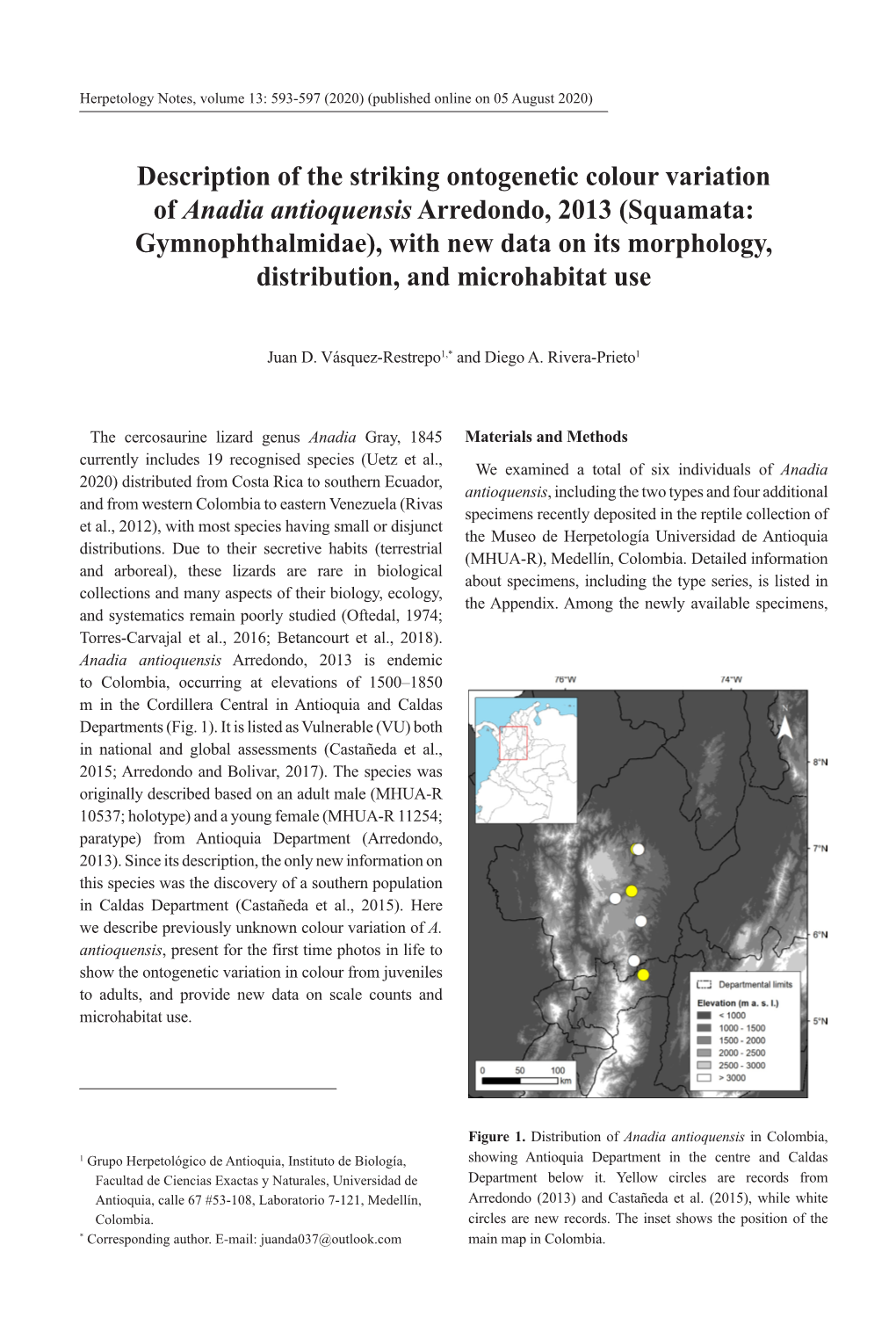 Description of the Striking Ontogenetic Colour Variation of Anadia