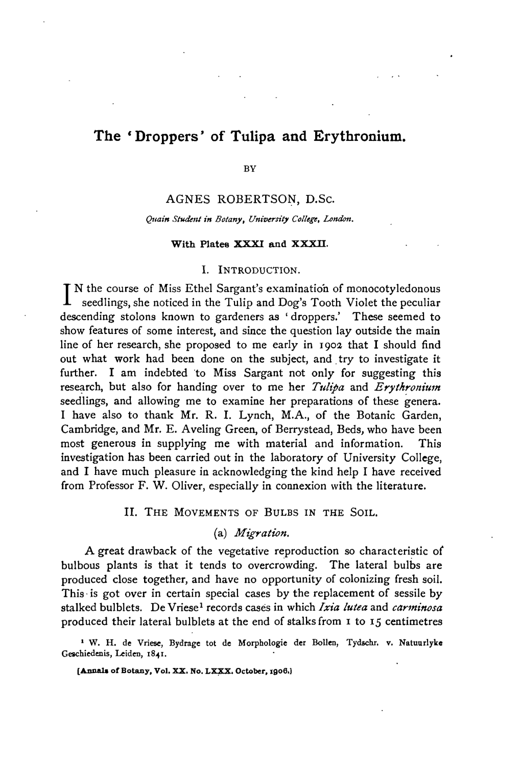 The * Droppers' of Tulipa and Erythronium