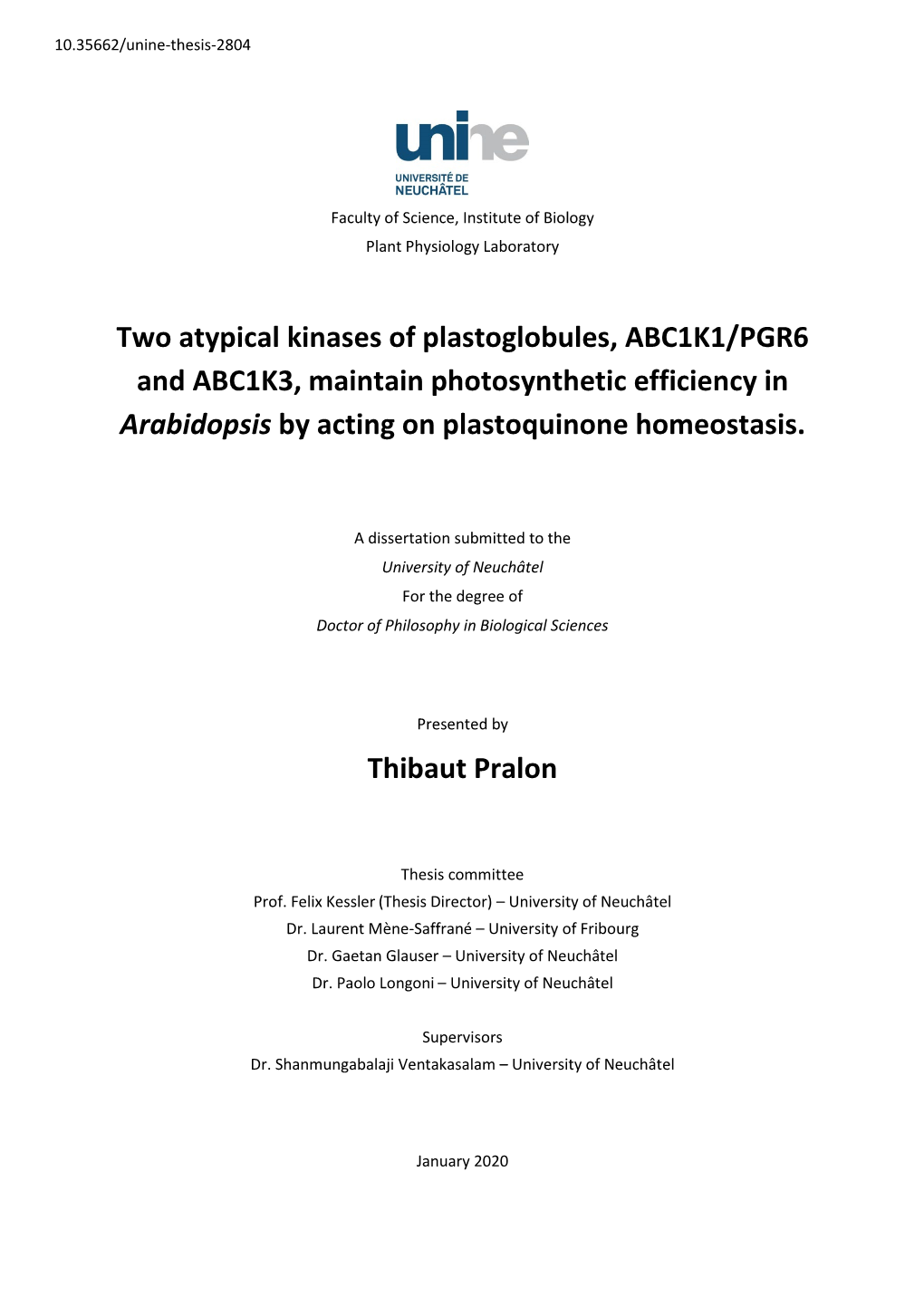 Two Atypical Kinases of Plastoglobules, ABC1K1/PGR6 and ABC1K3, Maintain Photosynthetic Efficiency in Arabidopsis by Acting on Plastoquinone Homeostasis