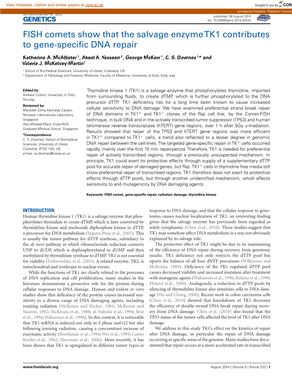 FISH Comets Show That the Salvage Enzyme TK1 Contributes to Gene-Speciﬁc J., Rajab, N