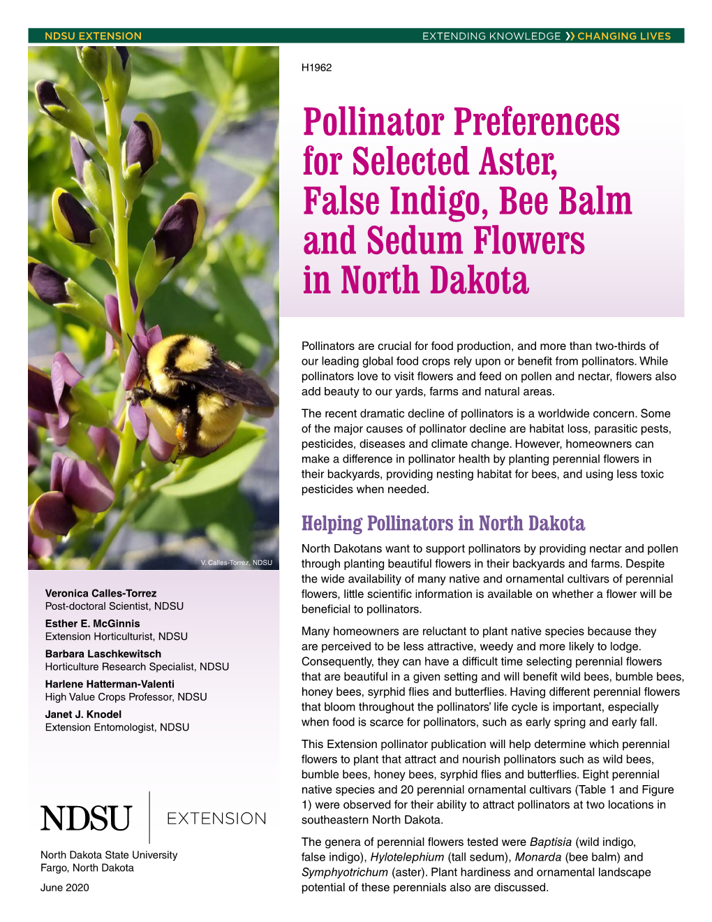 Pollinator Preferences for Selected Aster, False Indigo, Bee Balm and Sedum Flowers in North Dakota