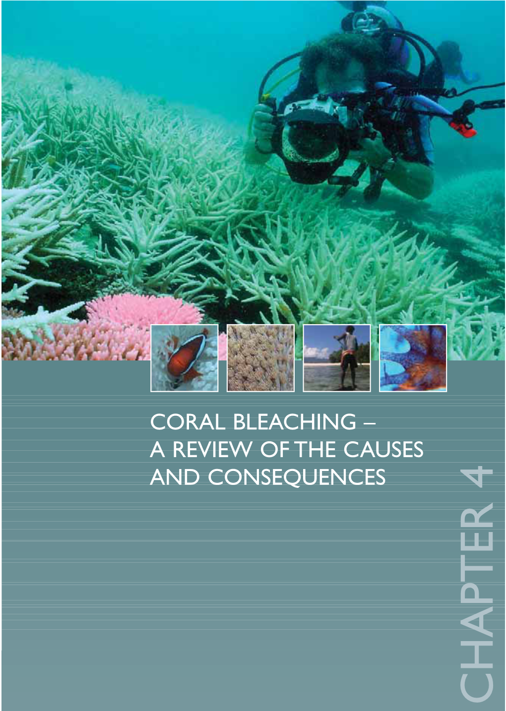 Coral Bleaching – a Review of the Causes and Consequences Chapter 4 a Reef Manager’S Guide to Coral Bleaching