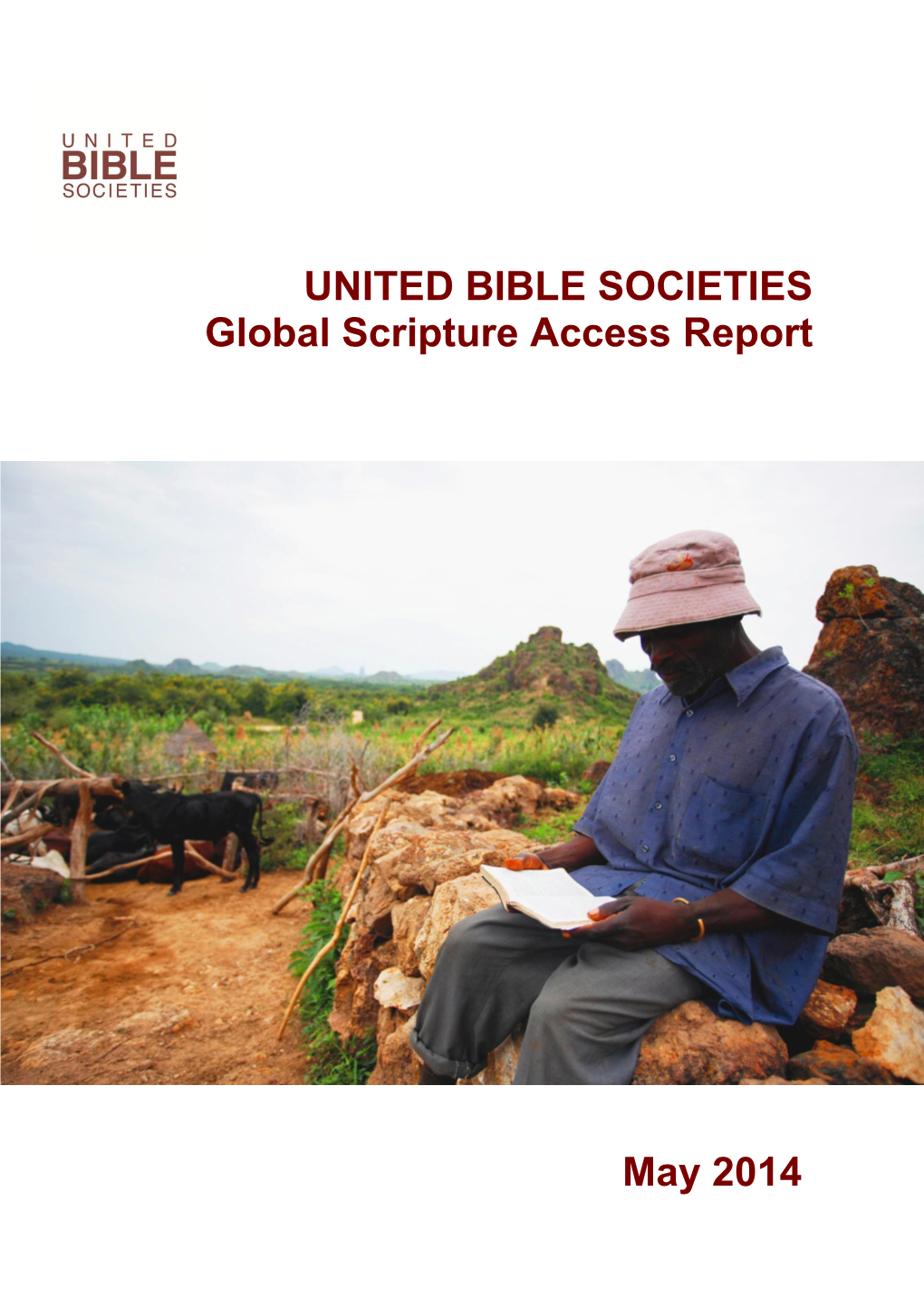 Global Scripture Access Report