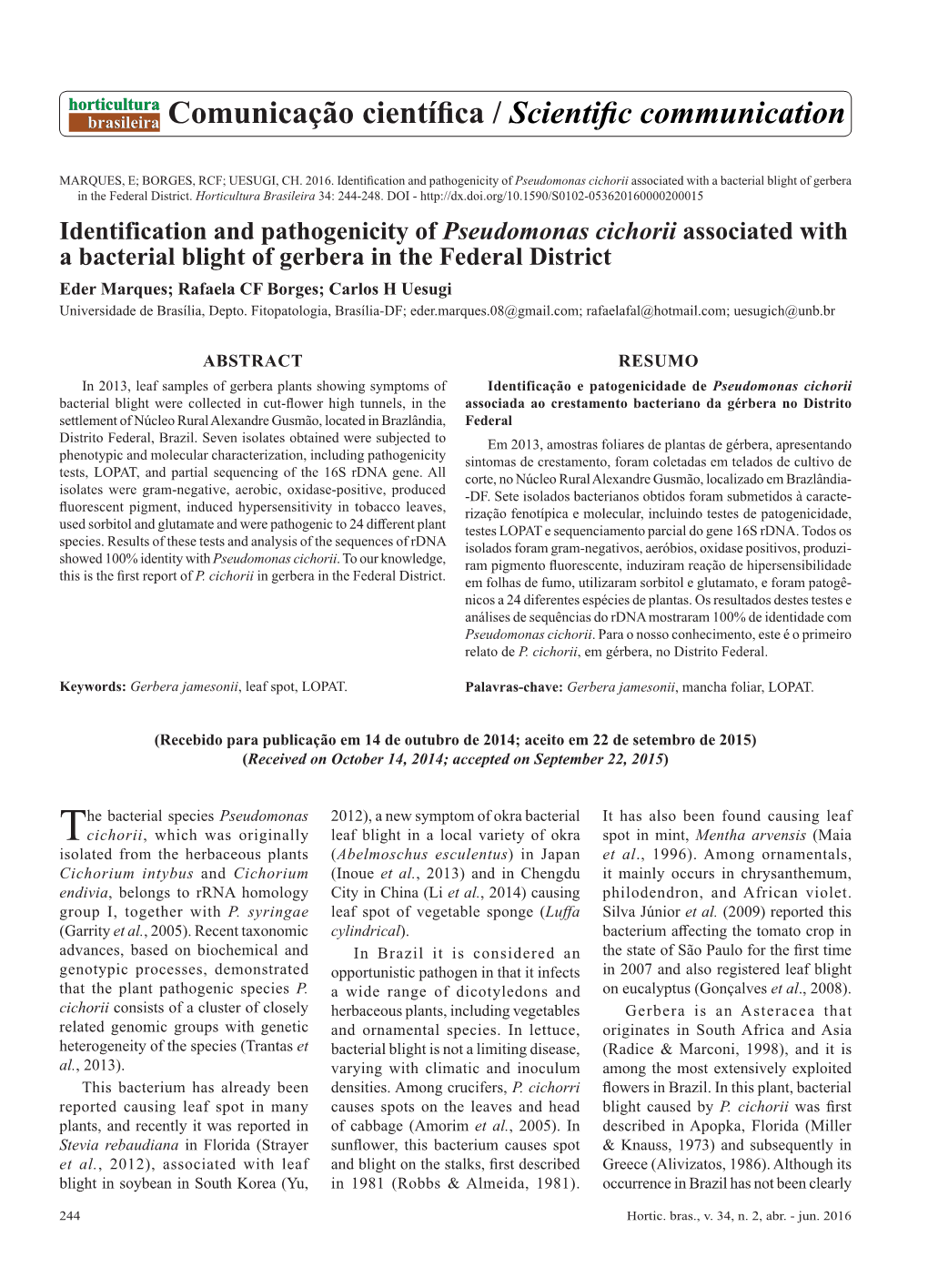 Identification and Pathogenicity of Pseudomonas Cichorii