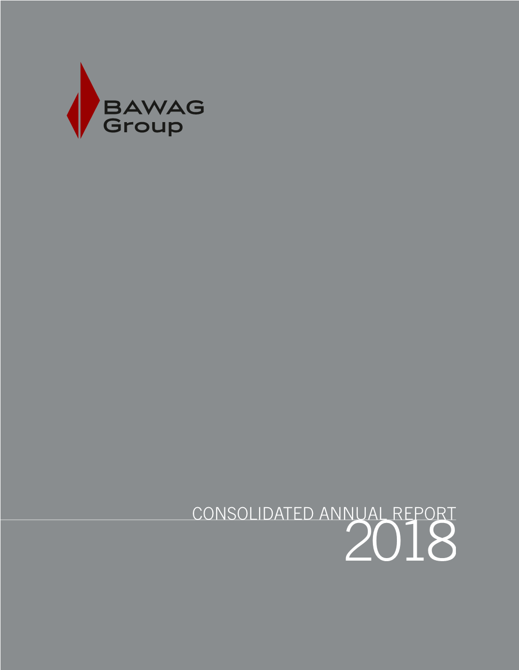 Consolidated Annual Report 2018