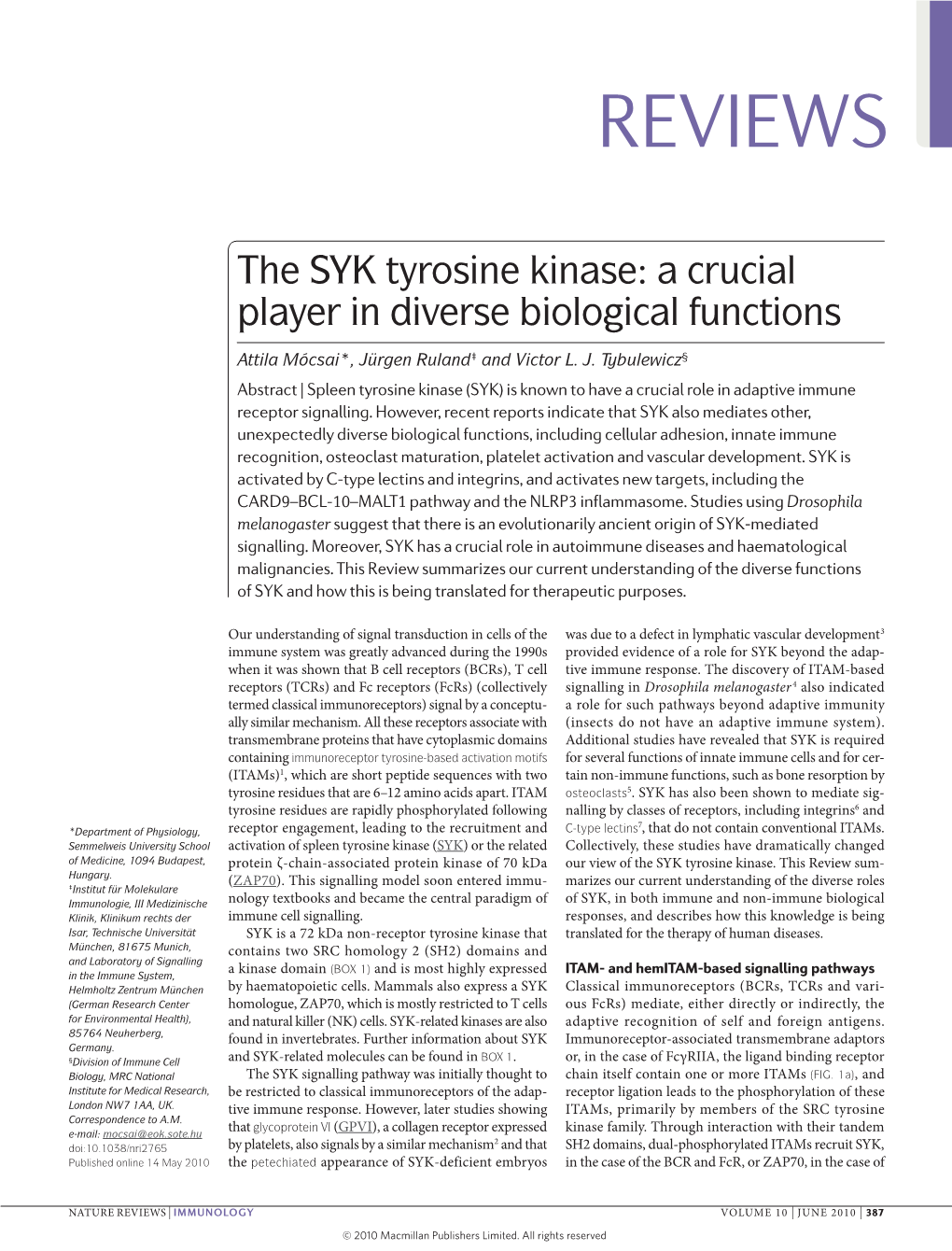 The SYK Tyrosine Kinase: a Crucial Player in Diverse Biological Functions