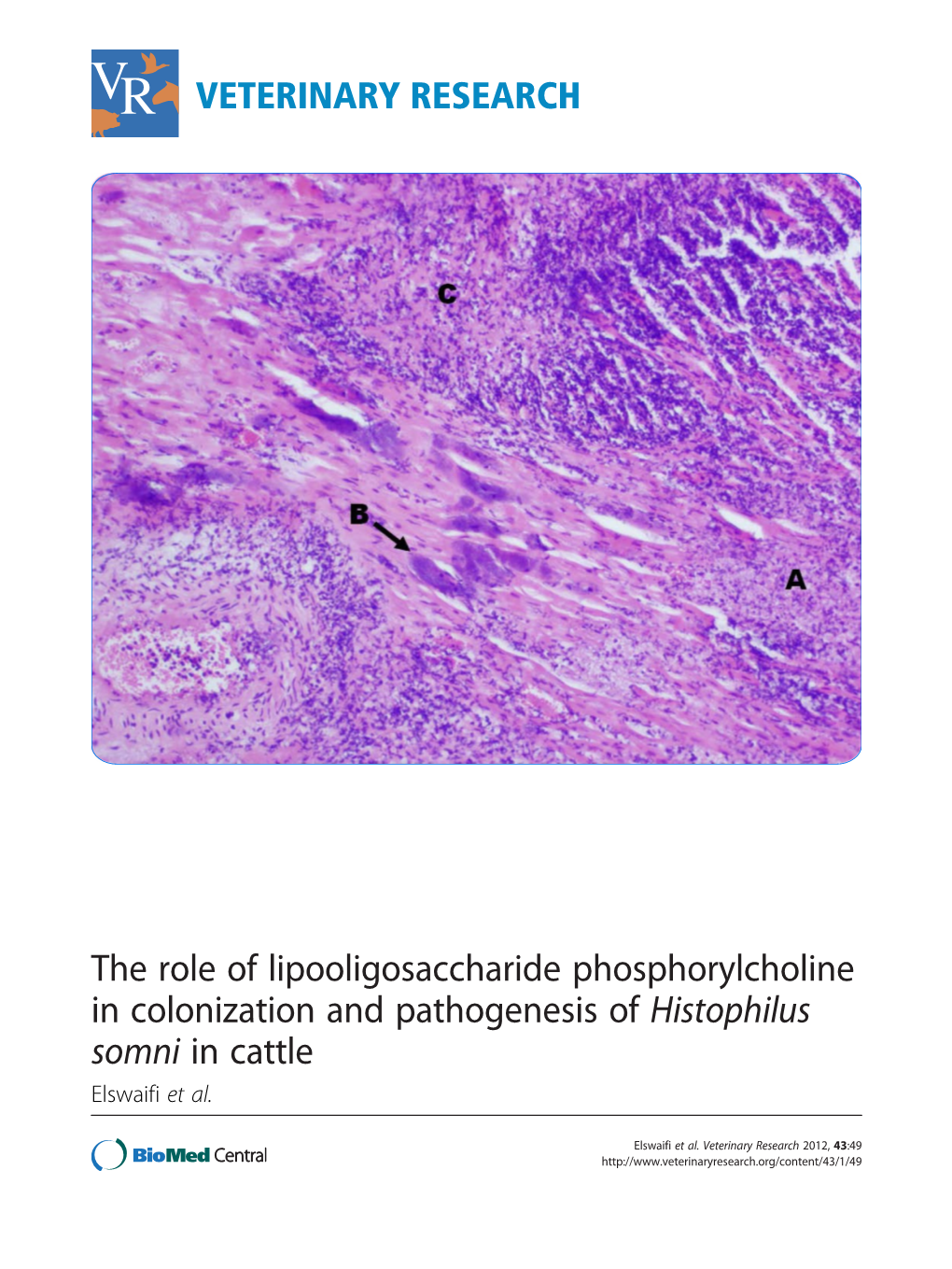 Histophilus Somni in Cattle Elswaifi Et Al