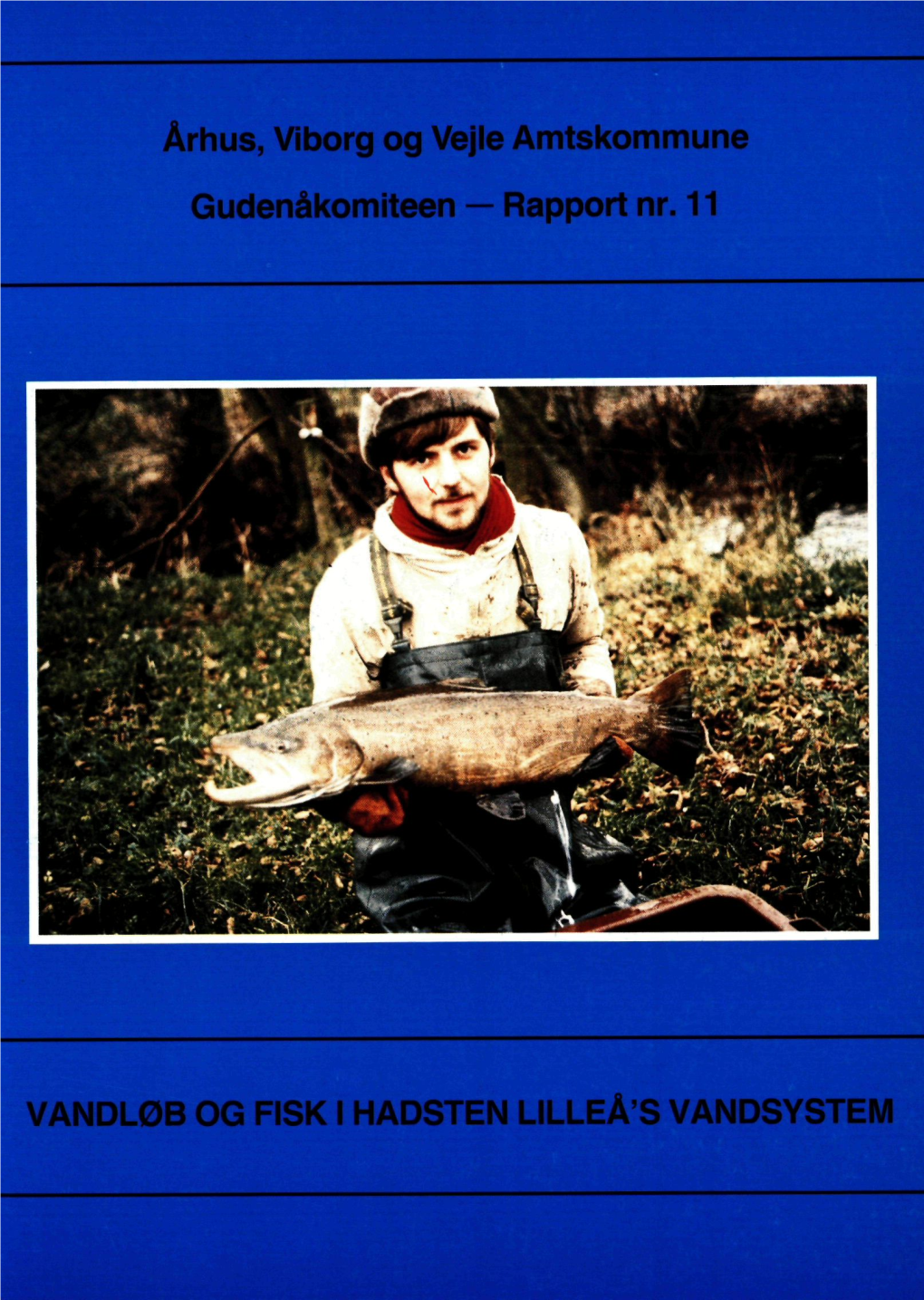 Vandløb Og Fisk I Hadsten Lilleå's Vandsystem Vandløb Og Fisk I Hadsten Lilleå's Vandsystem