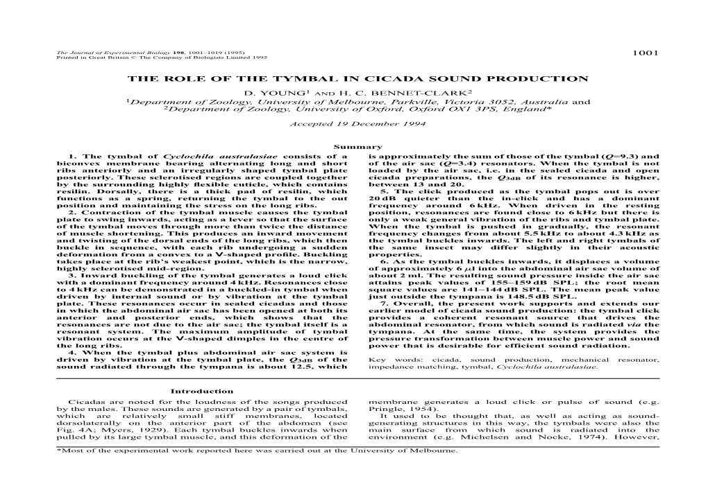 The Role of the Tymbal in Cicada Sound Production