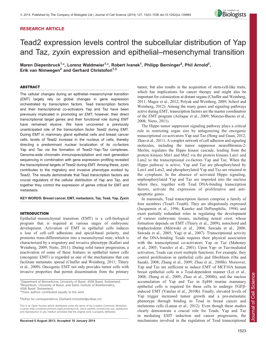 Tead2 Expression Levels Control the Subcellular