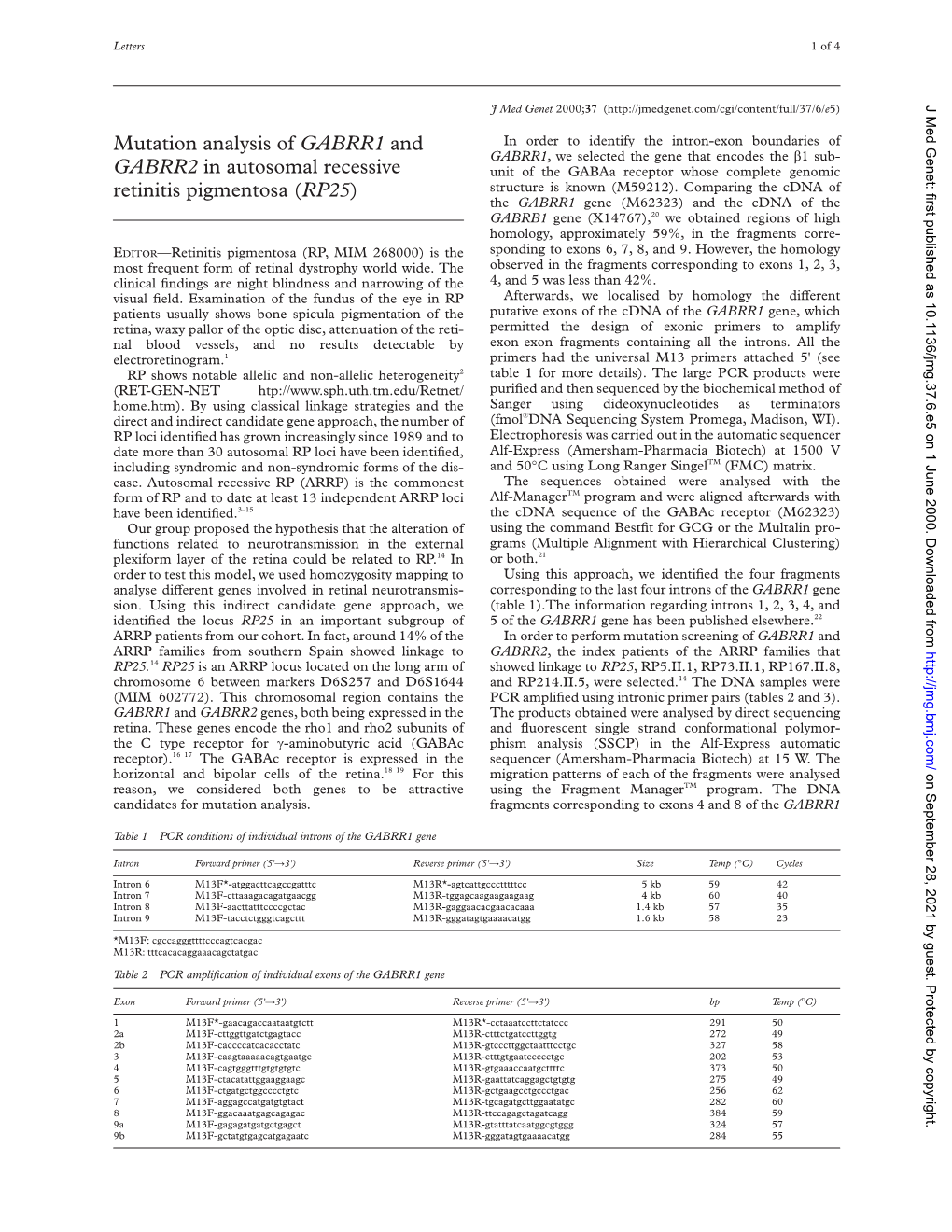 Mutation Analysis of GABRR1 and GABRR2 in Autosomal Recessive Retinitis Pigmentosa