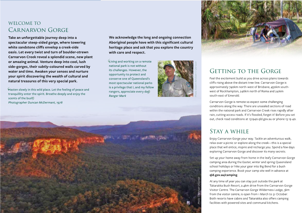 Carnarvon Gorge Section Carnarvon National Park Discovery Guide