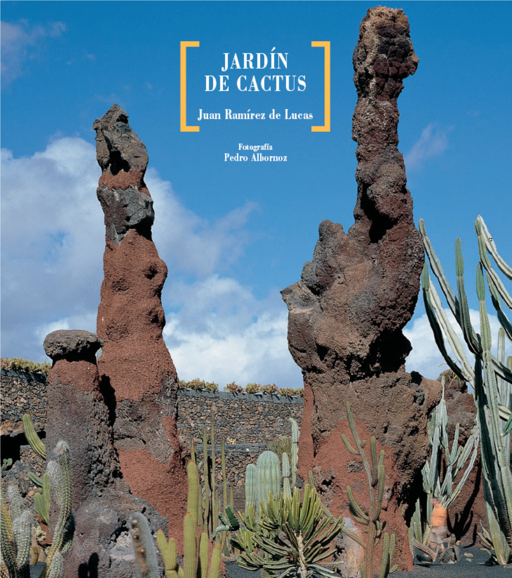 Jardín De Cactus I