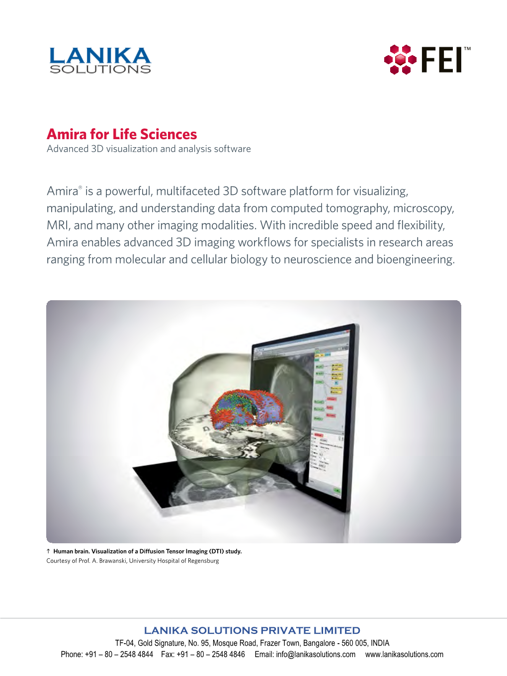 Amira for Life Sciences Advanced 3D Visualization and Analysis Software