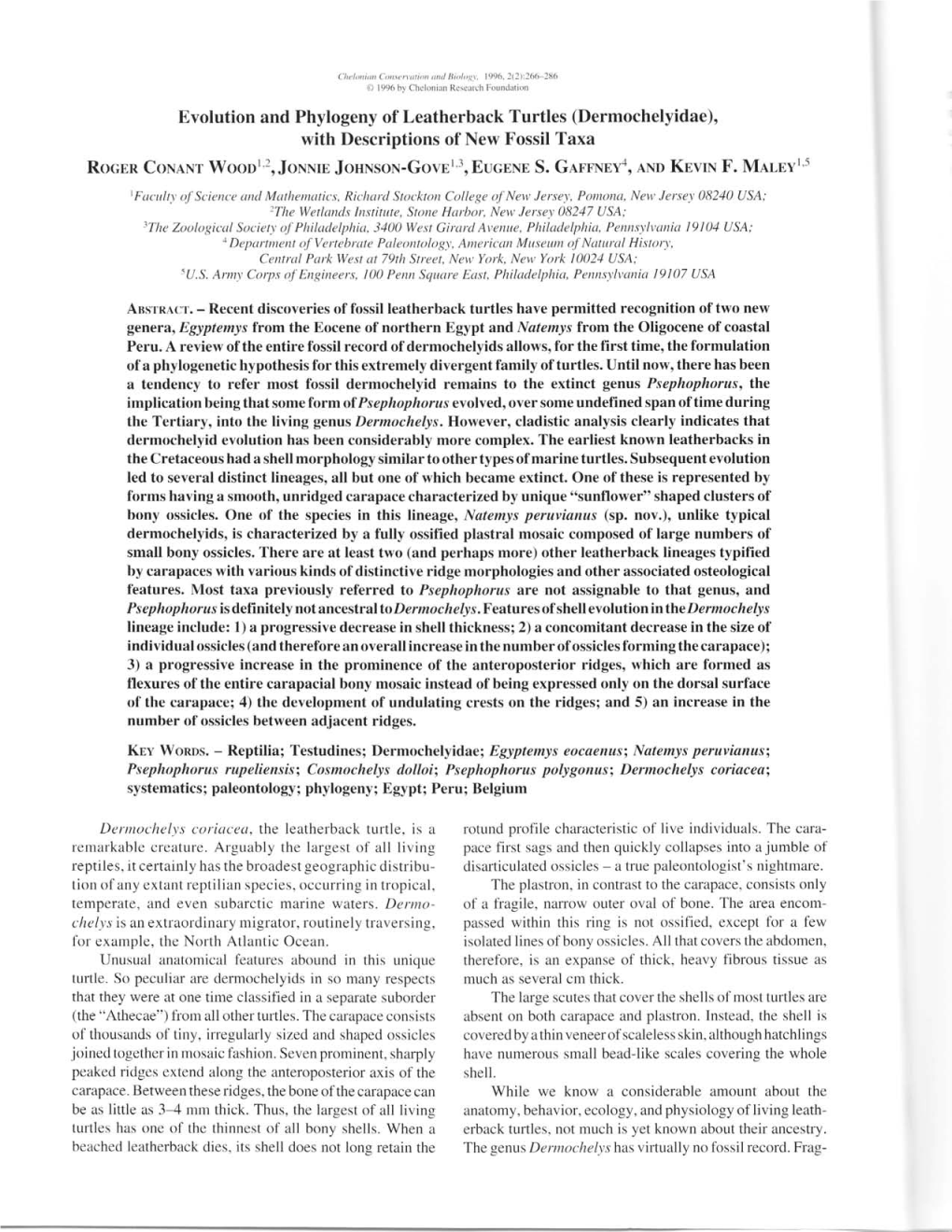 Evolution and Phylogeny of the Leatherback Turtles (Dermochelyidae)