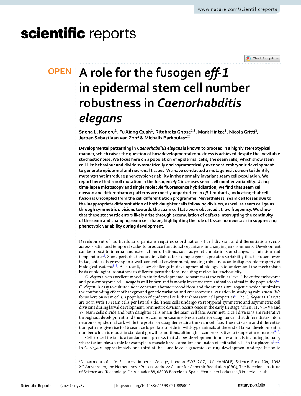 A Role for the Fusogen Eff-1 in Epidermal Stem Cell Number