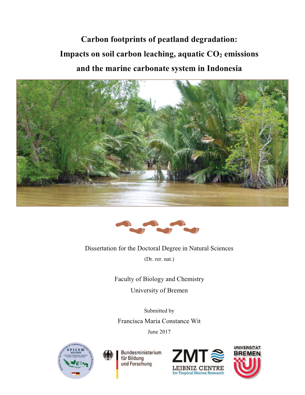 Impacts on Soil Carbon Leaching, Aquatic CO2 Emissions and the Marine Carbonate System in Indonesia