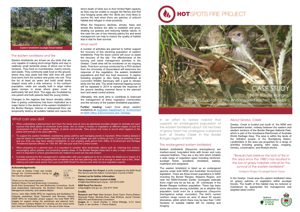 Case Study: Restoring Habitat for the Endangered Eastern Bristlebird