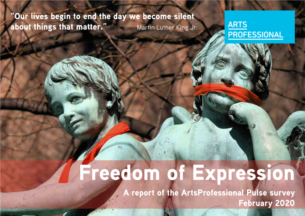 Freedom of Expression Report 2020