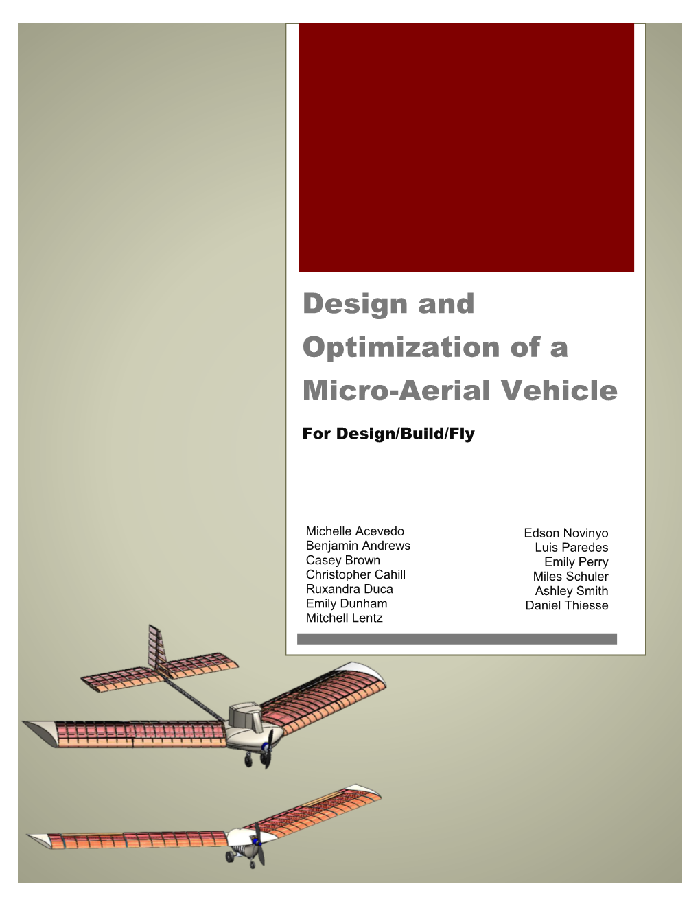 Design and Optimization of a Micro-Aerial Vehicle