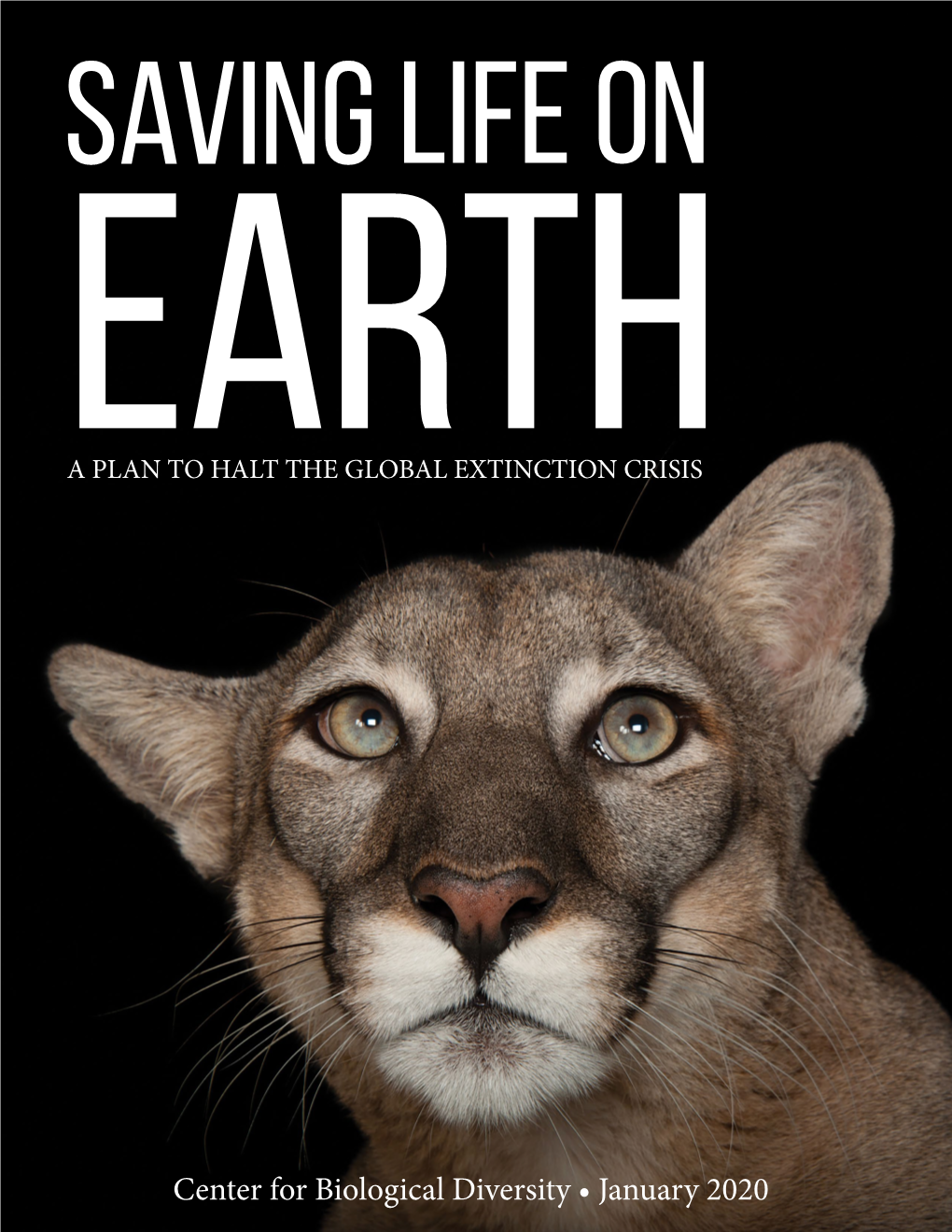 Saving Life on Earth a Plan to Halt the Global Extinction Crisis