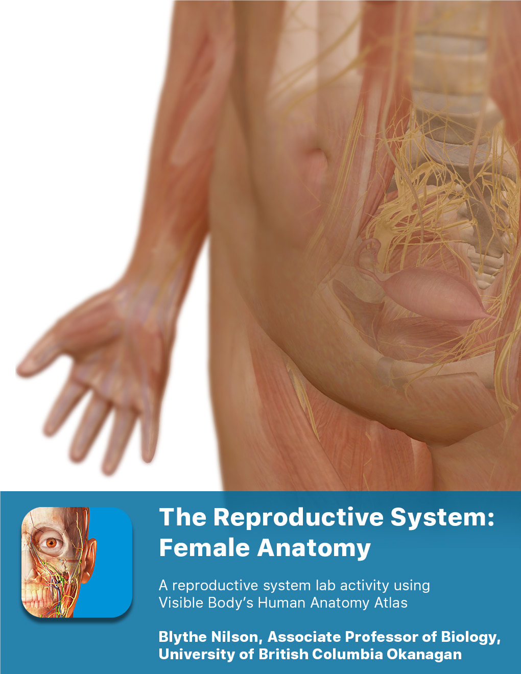 Download Female Anatomy Lab Manual