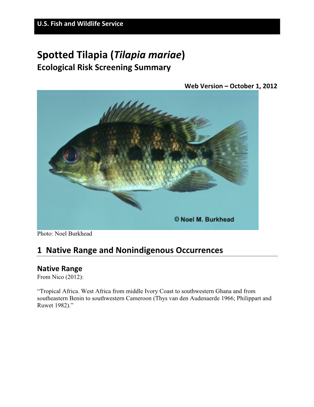 Spotted Tilapia (Tilapia Mariae) Ecological Risk Screening Summary