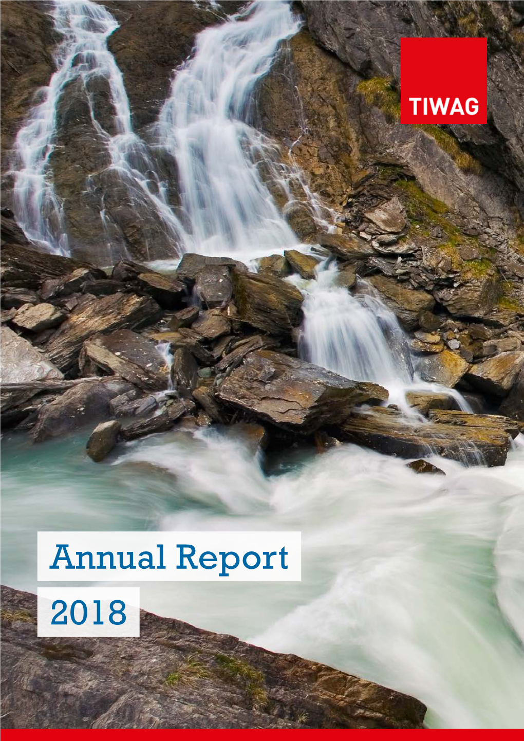 2018 Annual Report