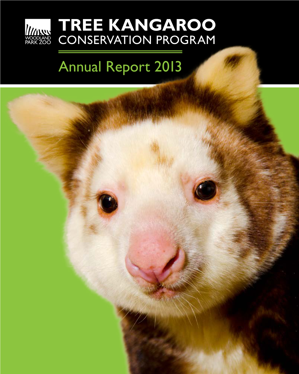 Annual Report 2013