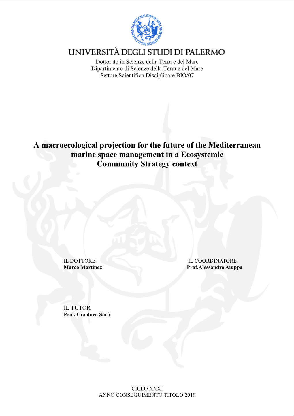 A Macroecological Projection for the Future of the Mediterranean Marine Space Management in a Ecosystemic Community Strategy Context