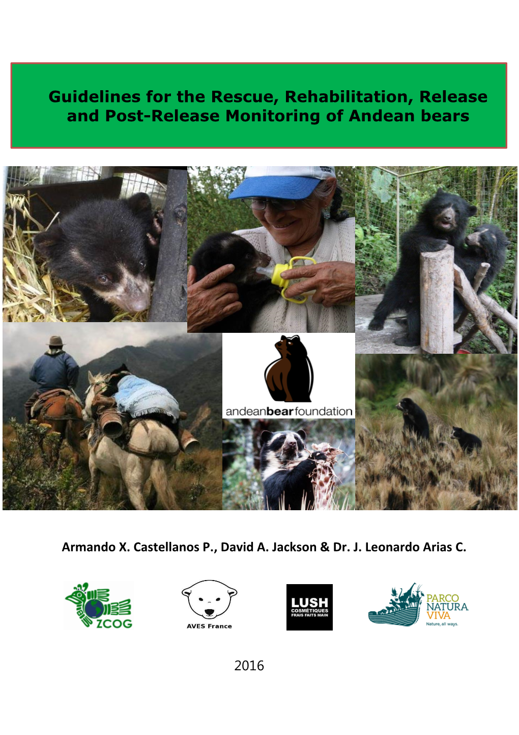 Guidelines for the Rescue, Rehabilitation, Release and Post-Release Monitoring of Andean Bears