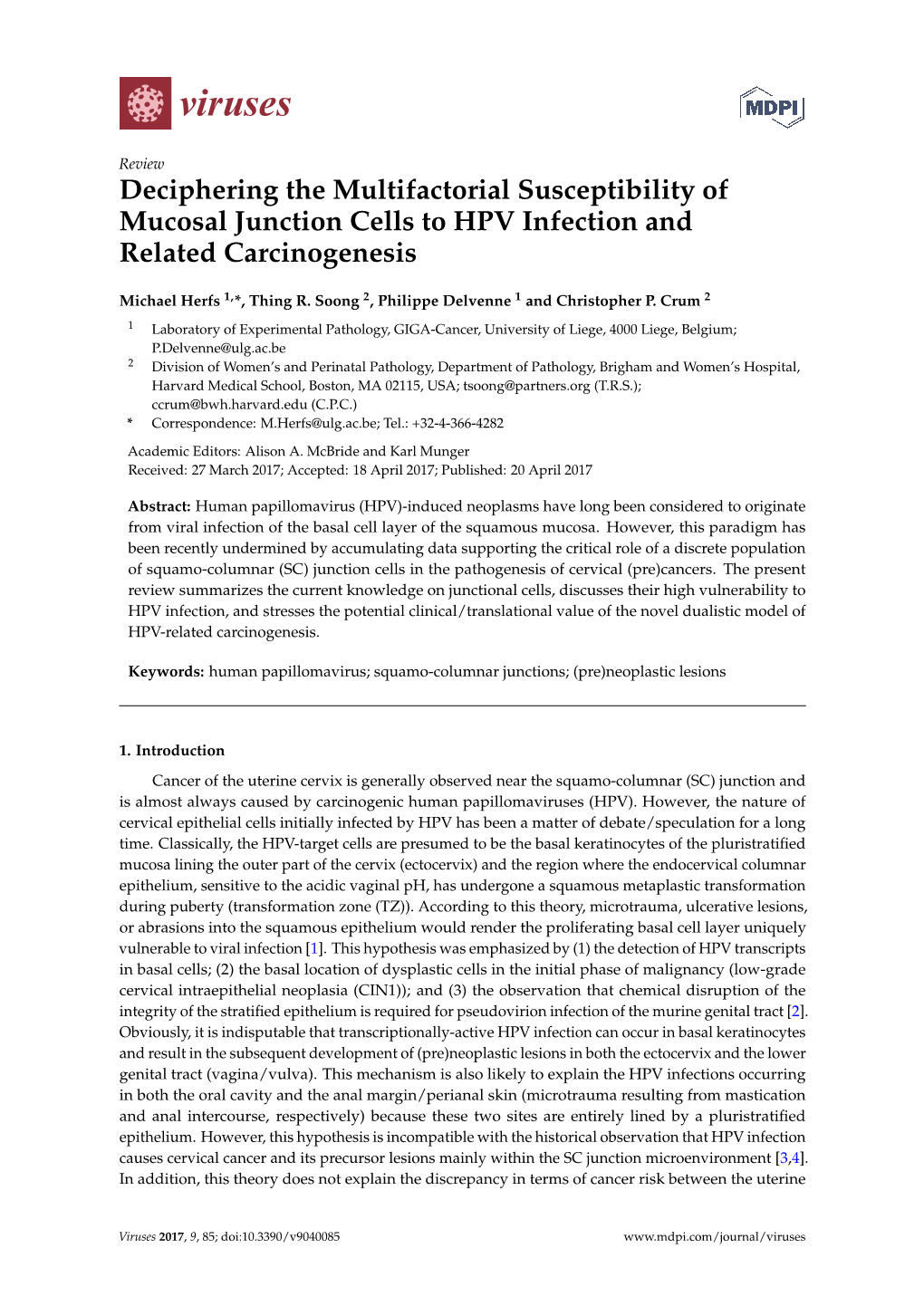 Deciphering the Multifactorial Susceptibility of Mucosal Junction Cells to HPV Infection and Related Carcinogenesis