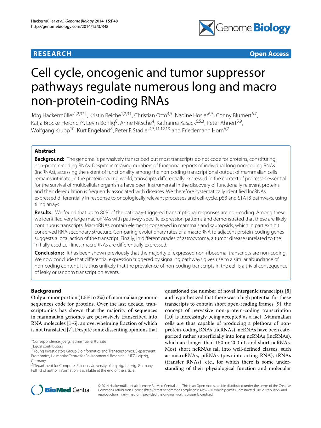 Cell Cycle, Oncogenic and Tumor Suppressor Pathways Regulate Numerous Long and Macro Non-Protein-Coding Rnas