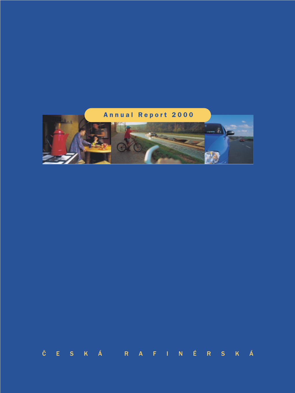 Annual Report 2000