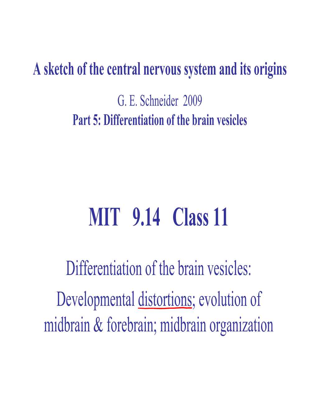 Superior Colliculus