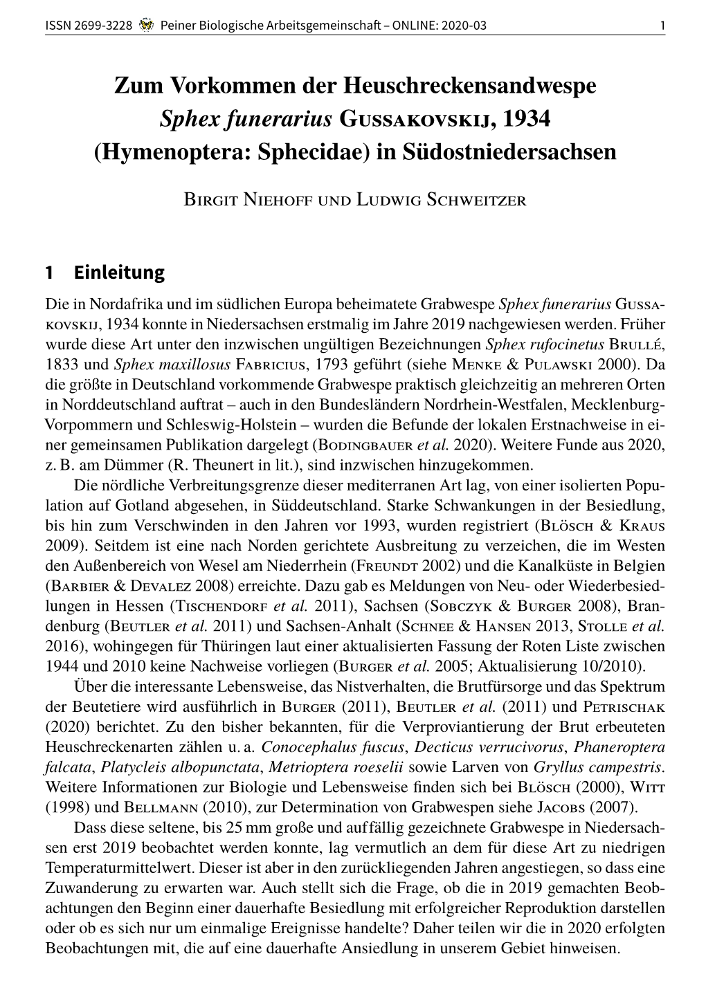 Zum Vorkommen Der Heuschreckensandwespe Sphex Funerarius Gussakovskij, 1934 (Hymenoptera: Sphecidae) in Südostniedersachsen