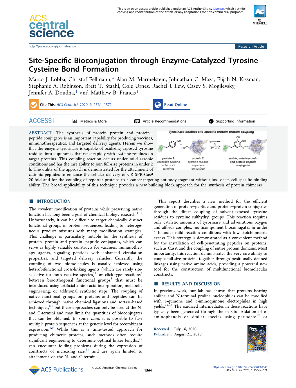 Site-Specific Bioconjugation Through Enzyme-Catalyzed Tyrosine− Cysteine Bond Formation