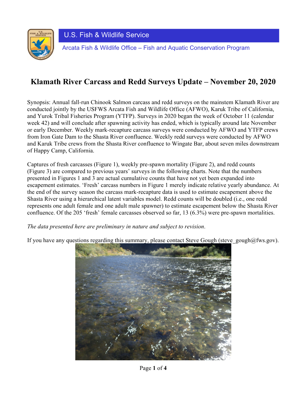 Klamath River Spawning Surveys Update