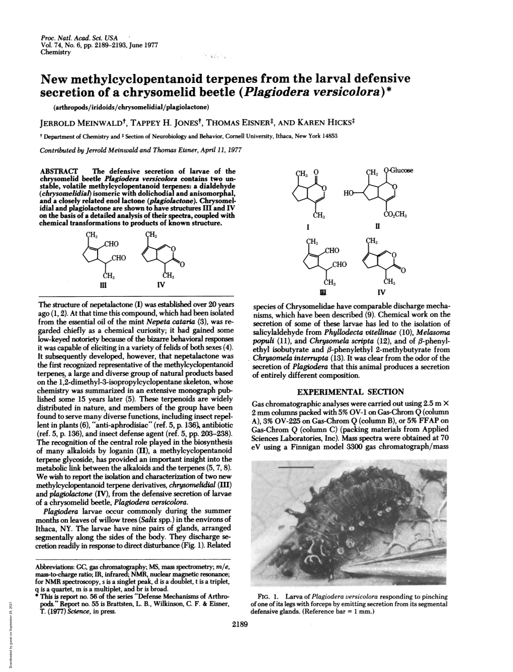 Plagiodera Versicolora)* (Arthropods/Iridoids/Chrysomelidial/Plagiolactone) JERROLD Meinwaldt, TAPPEY H