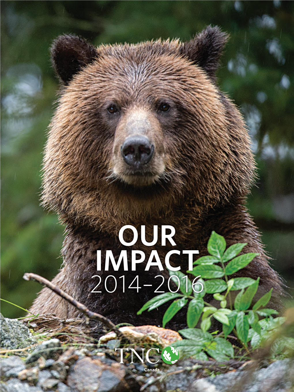 TNC-Canada-Our-Impact-2014-2016