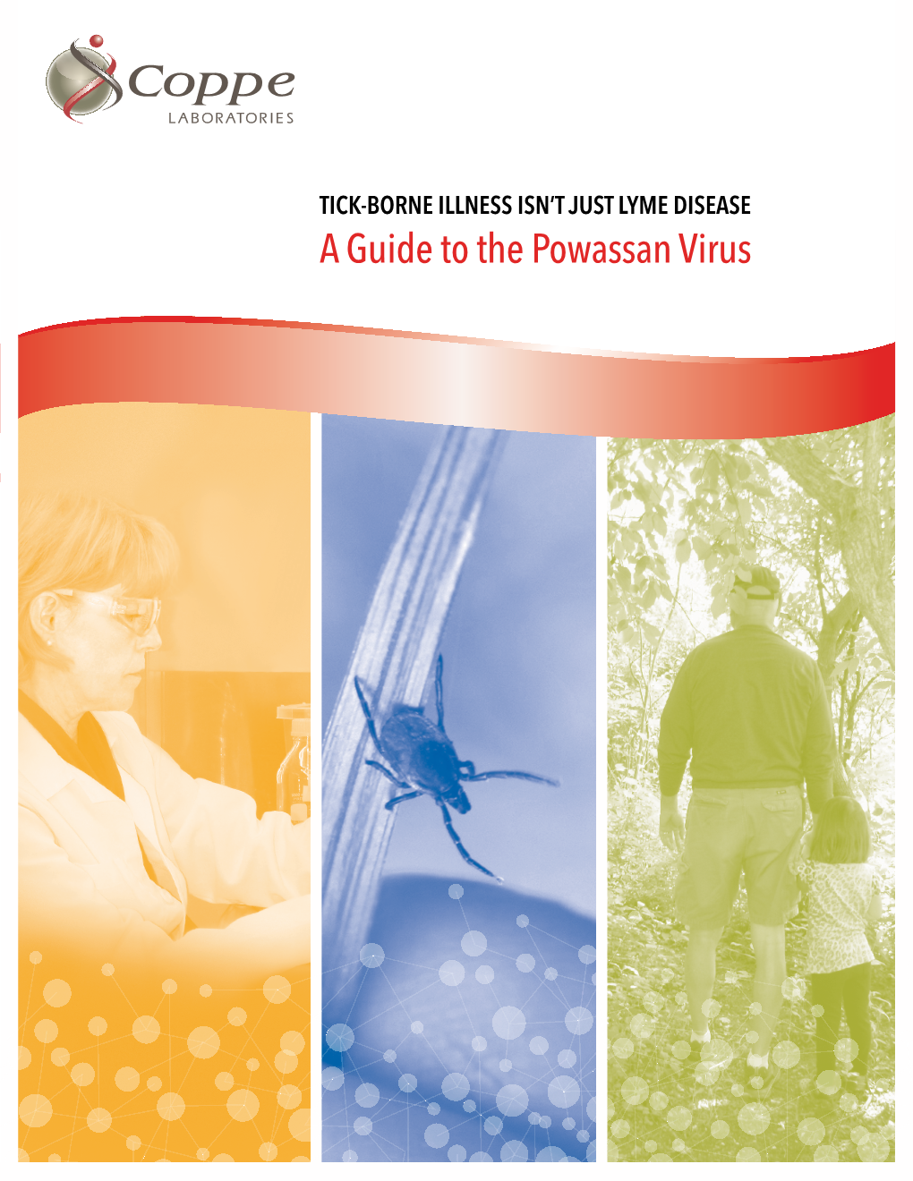 A Guide to the Powassan Virus TABLE of CONTENTS