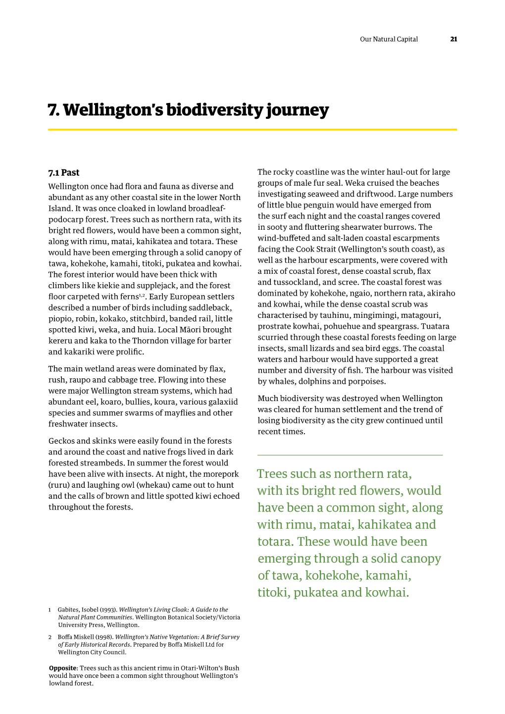 Our Natural Capital – Wellington's Biodiversity Journey
