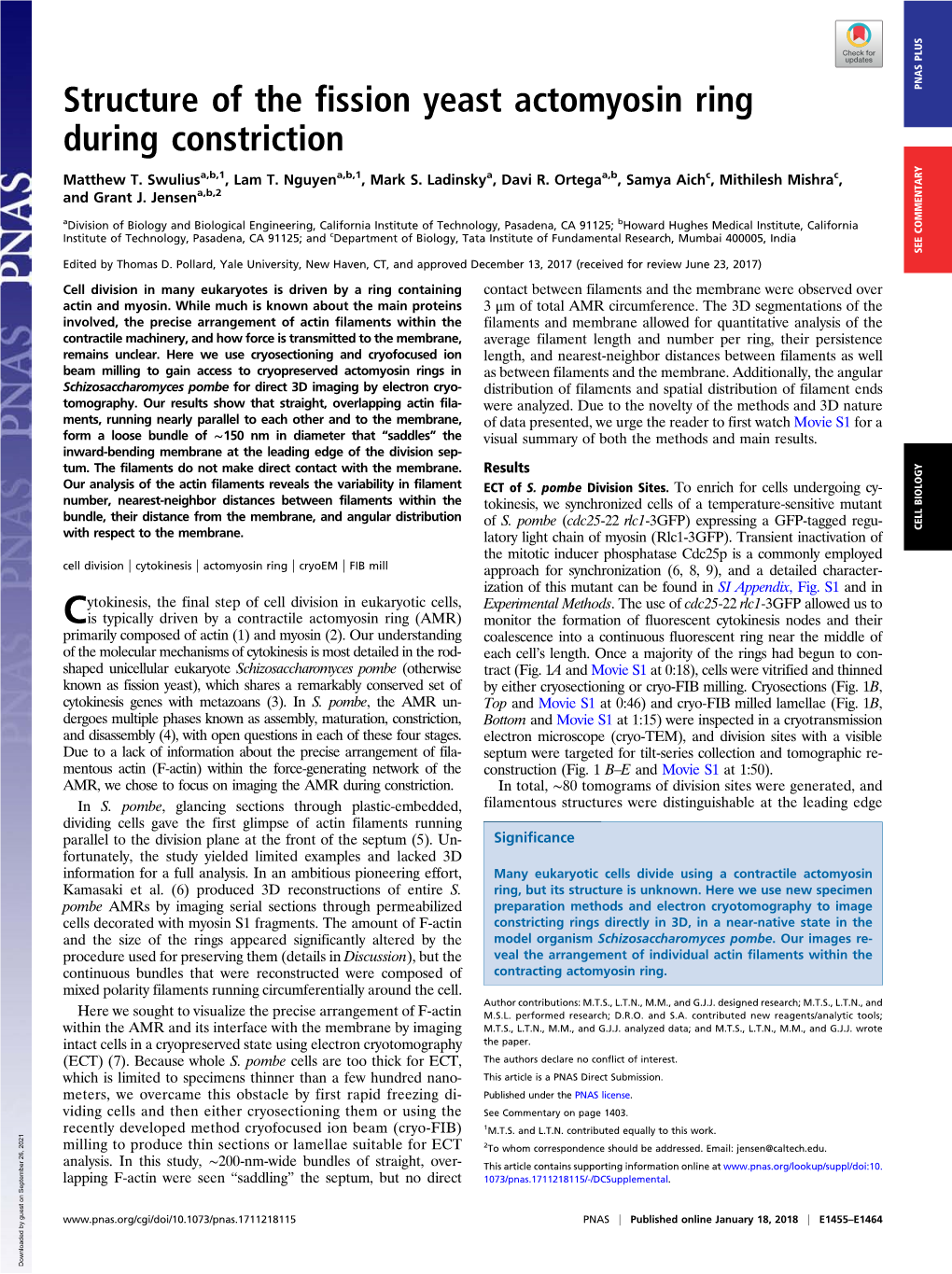 Structure of the Fission Yeast Actomyosin Ring During