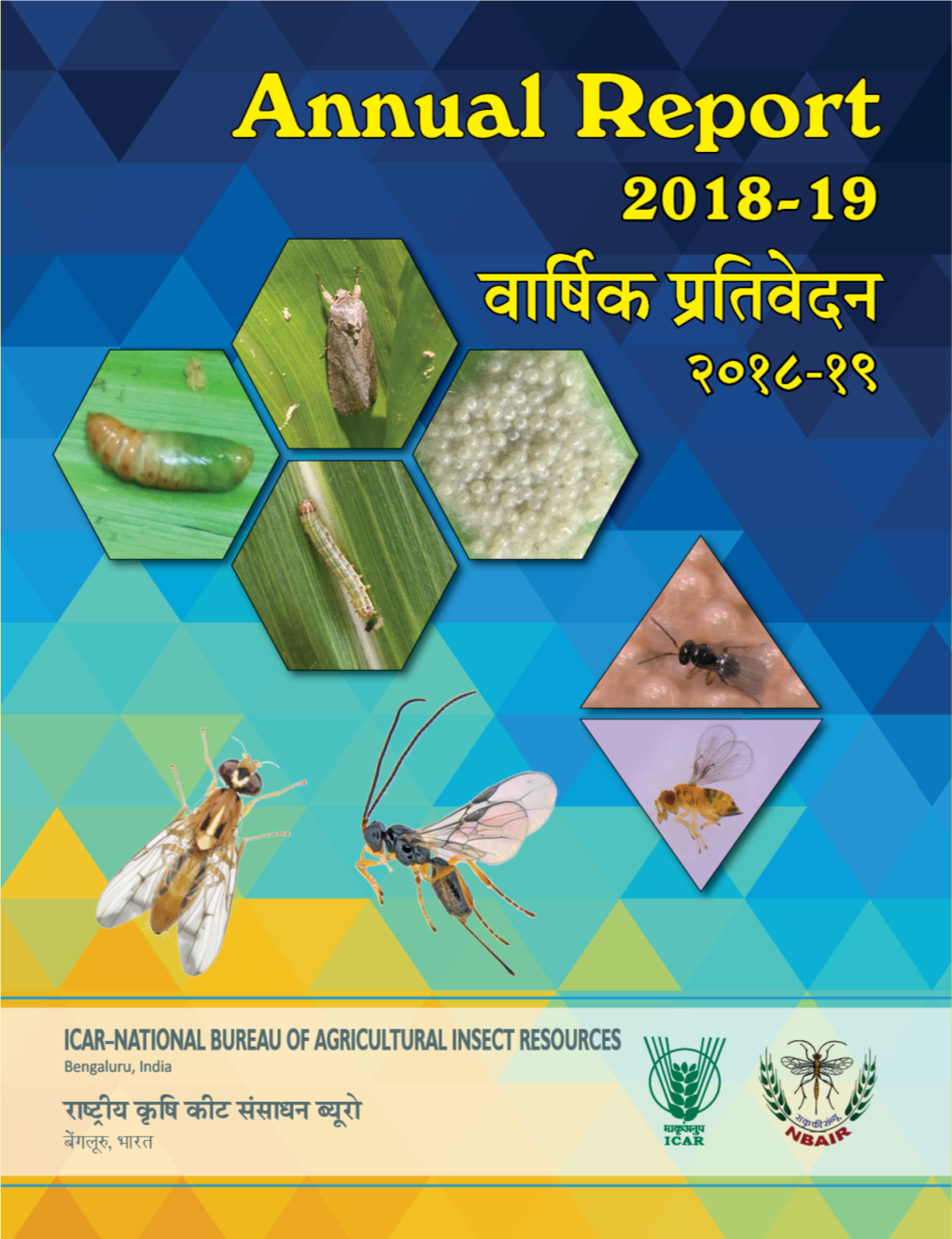 Annual Report 2018-19 ¨¸¸¹ß¸ÄˆÅ Œï¹÷¸¨¸½™›¸ २०१८-१९