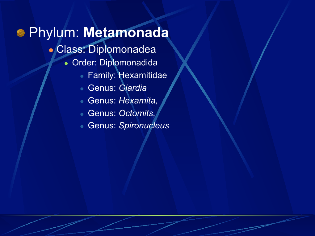 Metamonada L Class: Diplomonadea