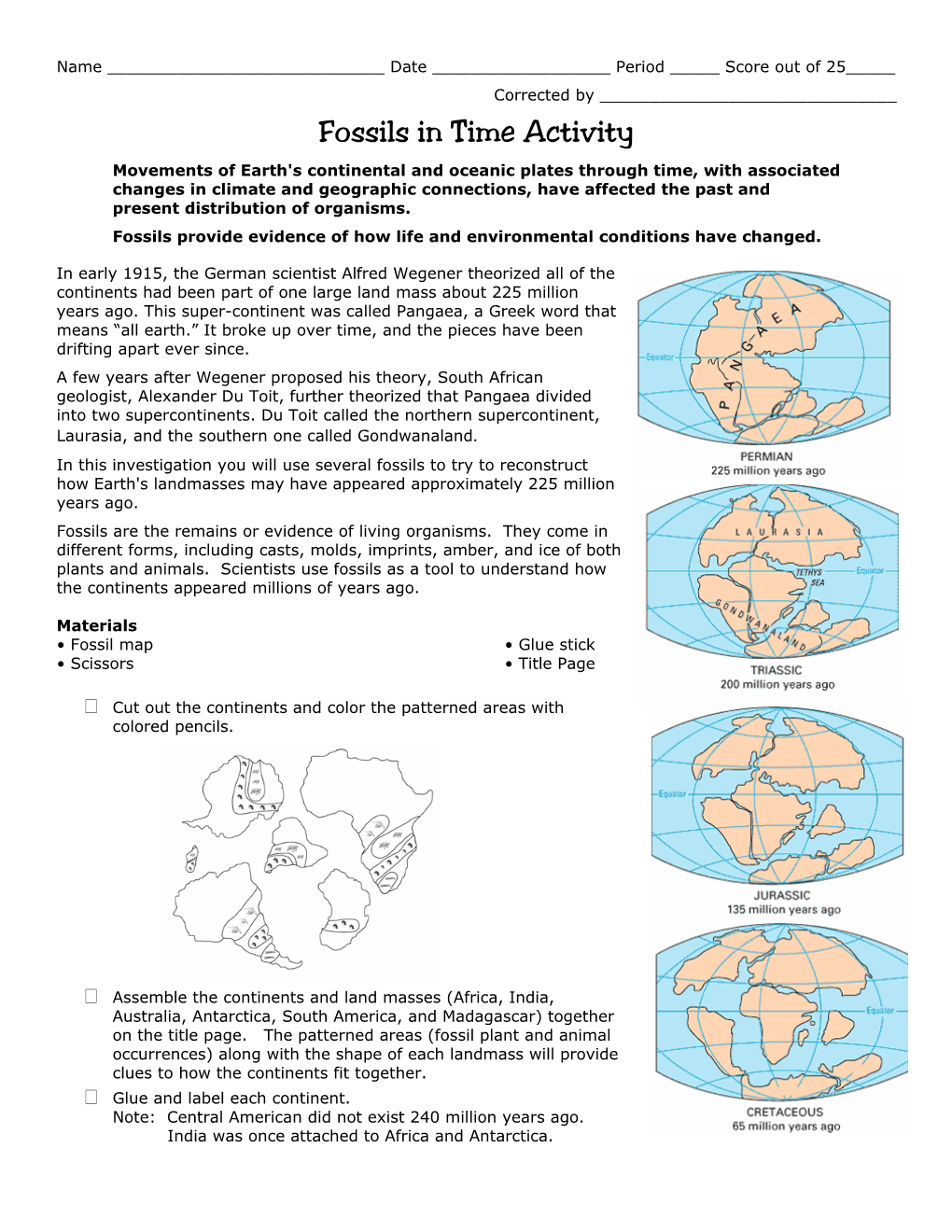 Fossils in Time Activity