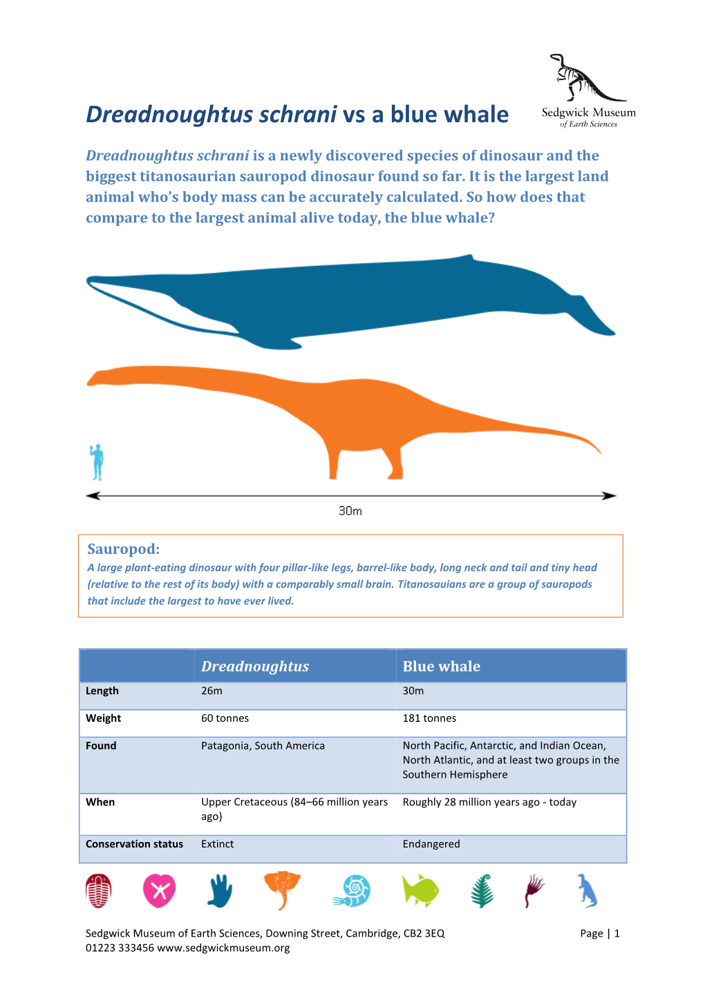 Dreadnoughtus Schrani Vs a Blue Whale